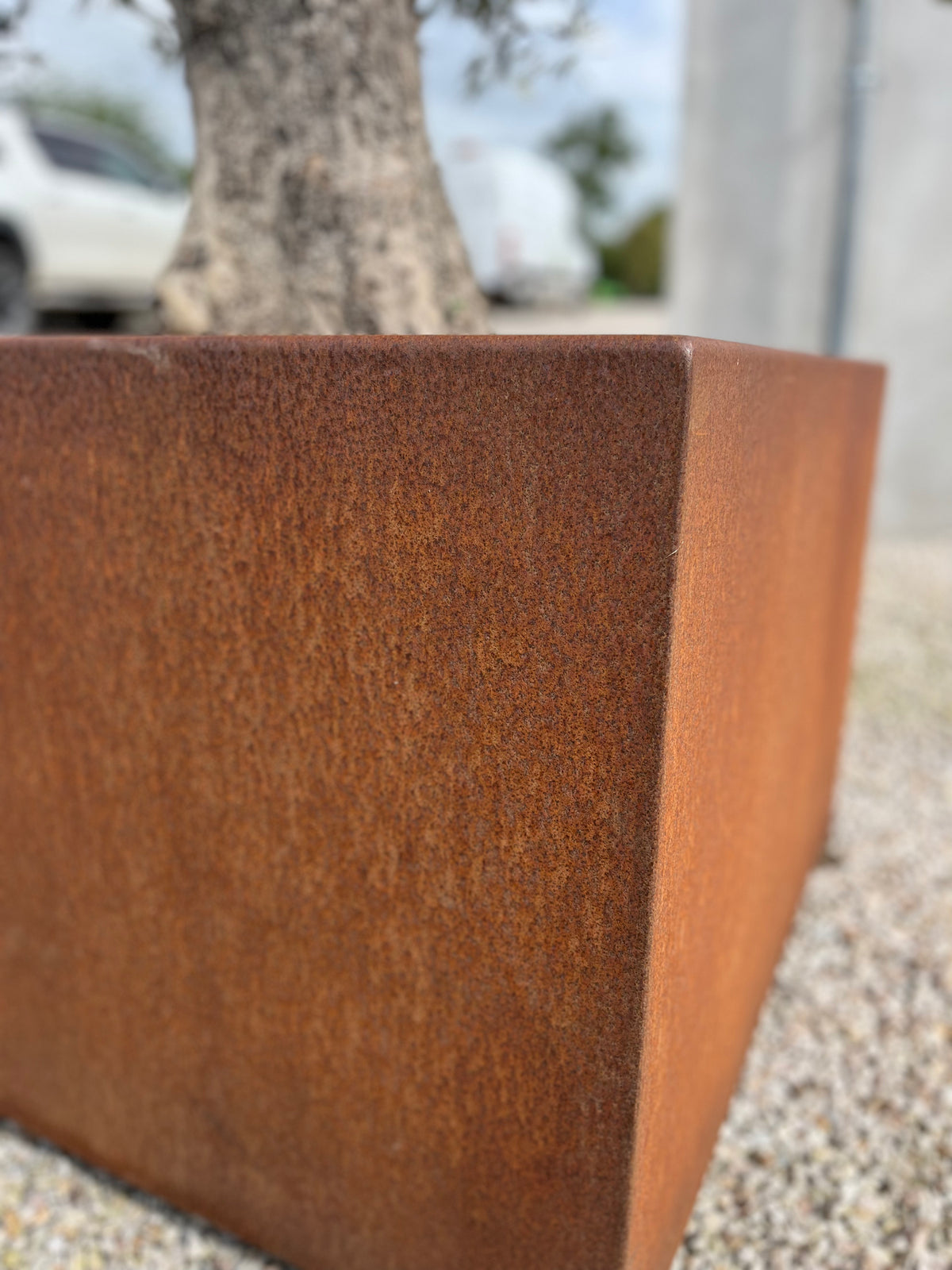 Extra big Olive in Cor-ten Container